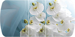 Стол обеденный Бостон на опоре брифинг-хром цвет столешницы с фотопечатью белая орхидея