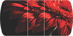 Стол обеденный Бостон на опоре брифинг-хром цвет столешницы с фотопечатью красная гербера