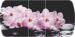 Стол обеденный Бостон на опоре брифинг-хром цвет столешницы с фотопечатью розовая орхидея